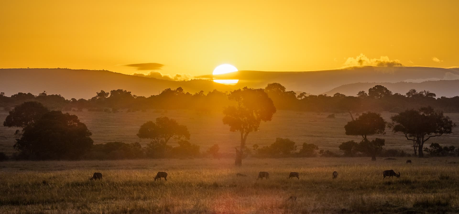 Country Representative — Kenya at Africa Travel Bookings