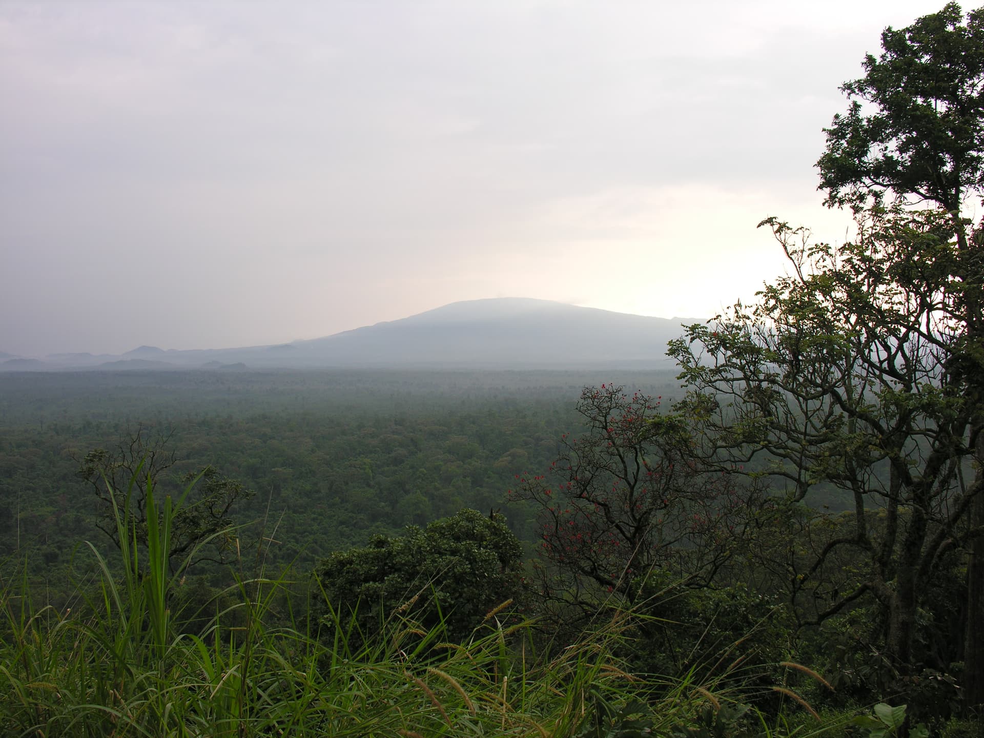 DR Congo — top attraction