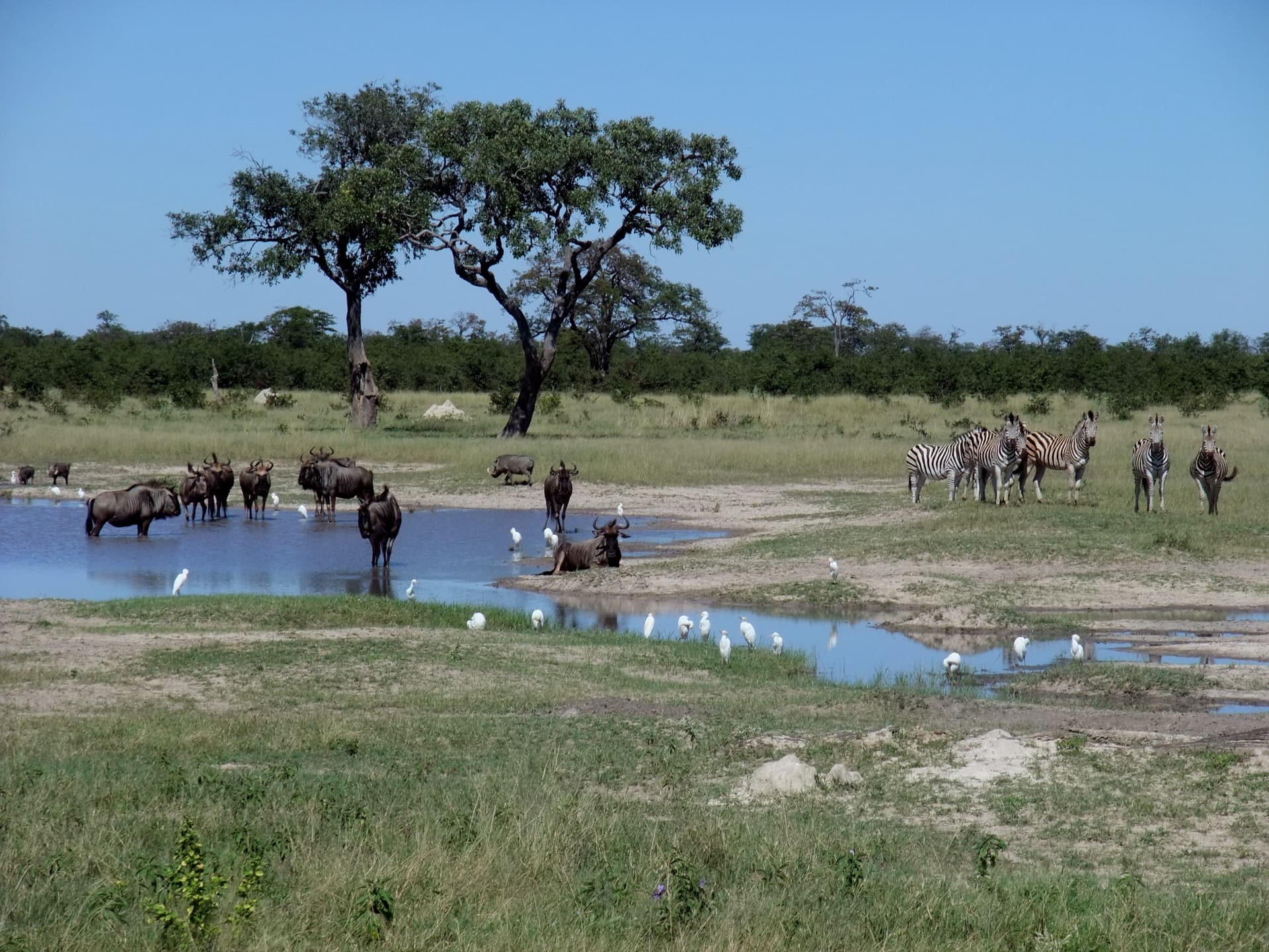 Botswana — top attraction