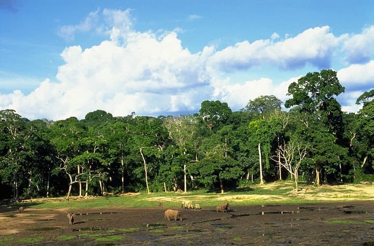 Central African Republic — top attraction