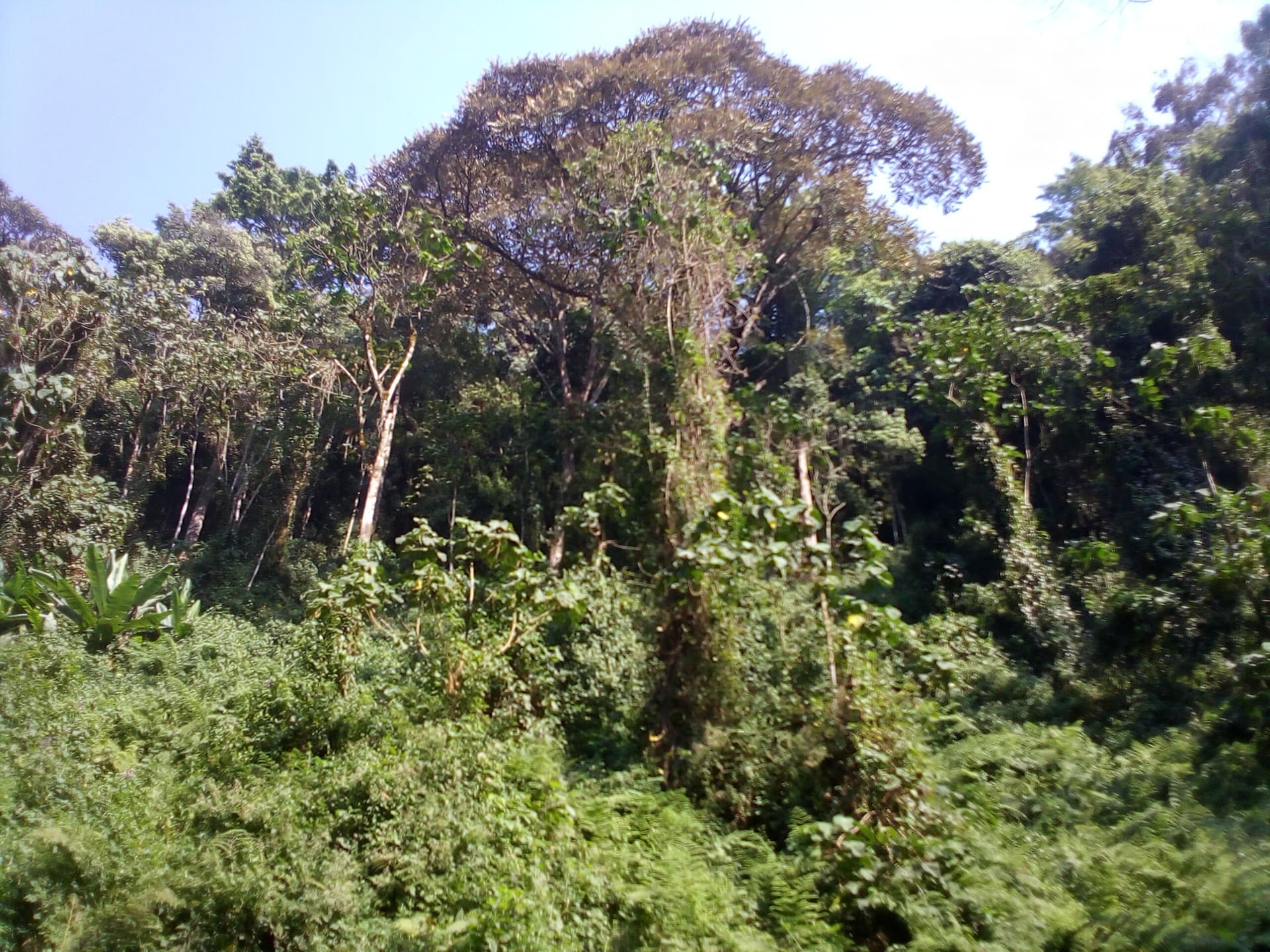 Burundi — top attraction