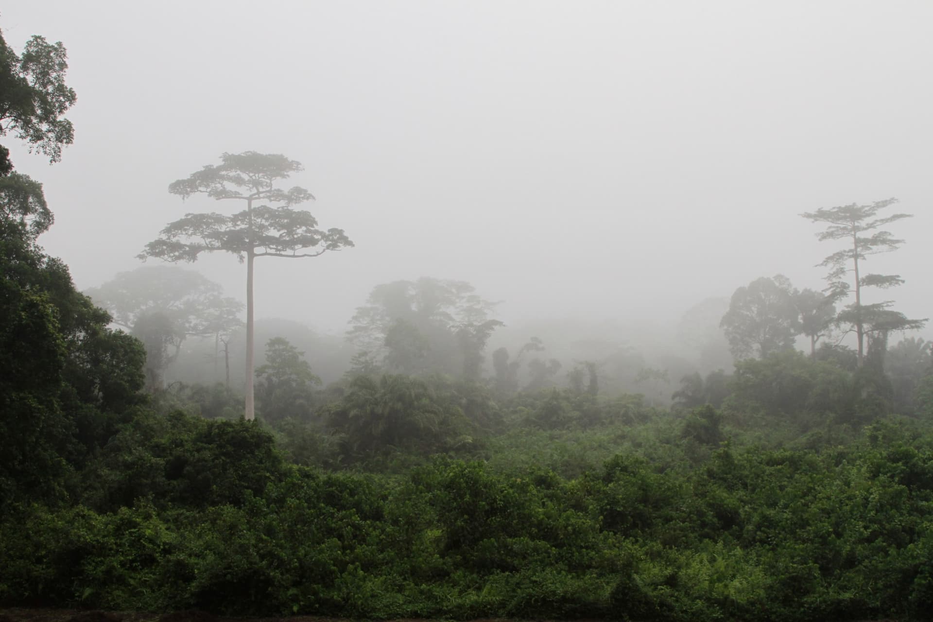 Côte d'Ivoire — top attraction